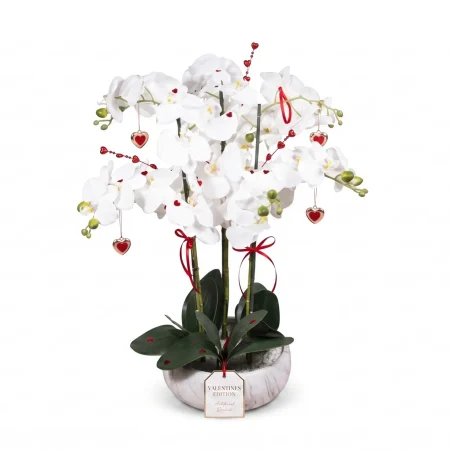 Artificial Orchids Valentines Edition