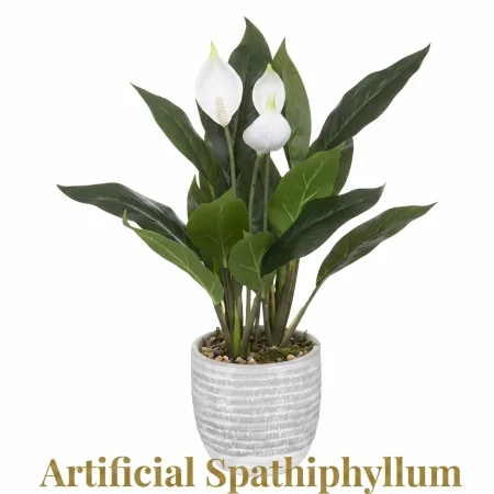 Artificial Spatiphilium