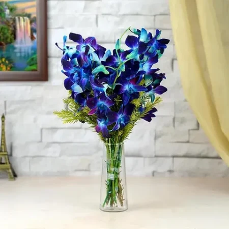 Blue Orchid Valentines Edition