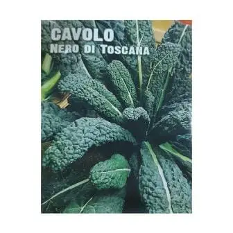 Cavolo Nero Di Toscana Seeds