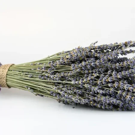 Dried Lavander Bunch