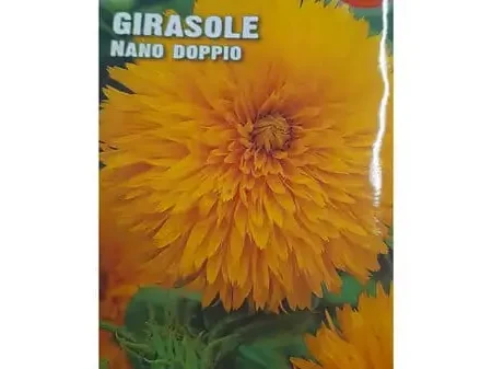 Girasole Nano Doppio Seeds