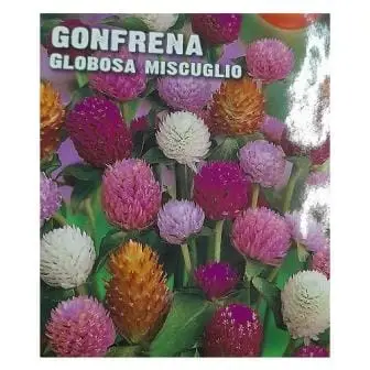 Gonfrena Globosa Miscuglio Seeds