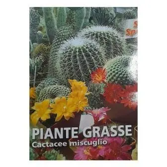 Piante Grasse Seeds