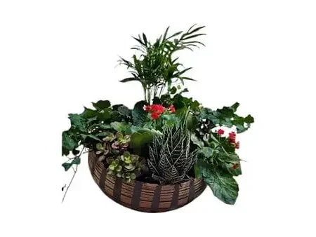 Plant Arrangement Trust