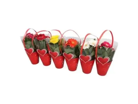 Plant In A Bag