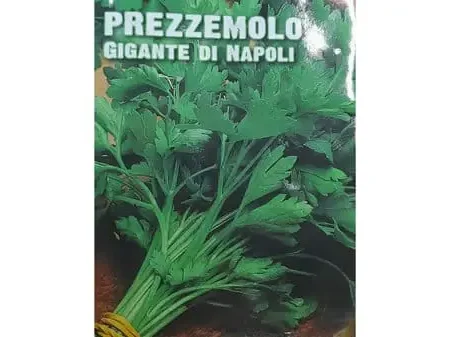 Prezzemolo Seeds