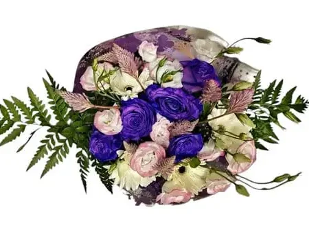 Purple Lane