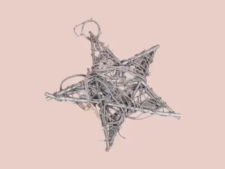 Silver Star