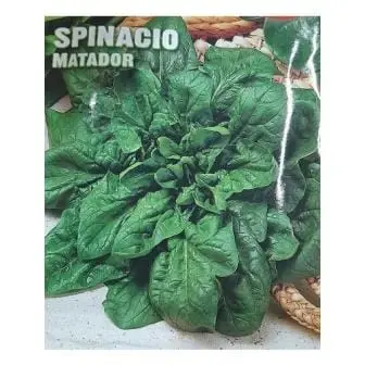 Spinacio Matador Seeds