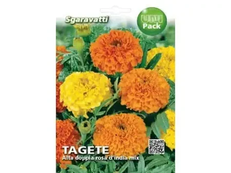 Tagete Alta Rosa D'India Seeds