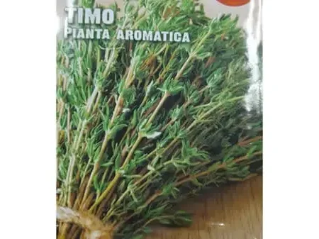 Timo Seeds