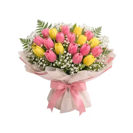 Tulip Rocks