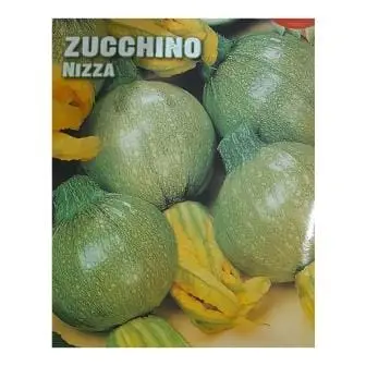 Zucchino Seeds