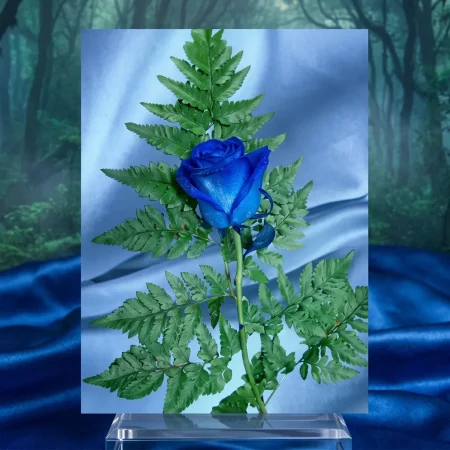 Royal For You Valentines Edition
