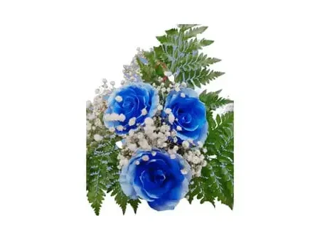 Royal I love You Valentines Edition