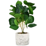Artificial Plants